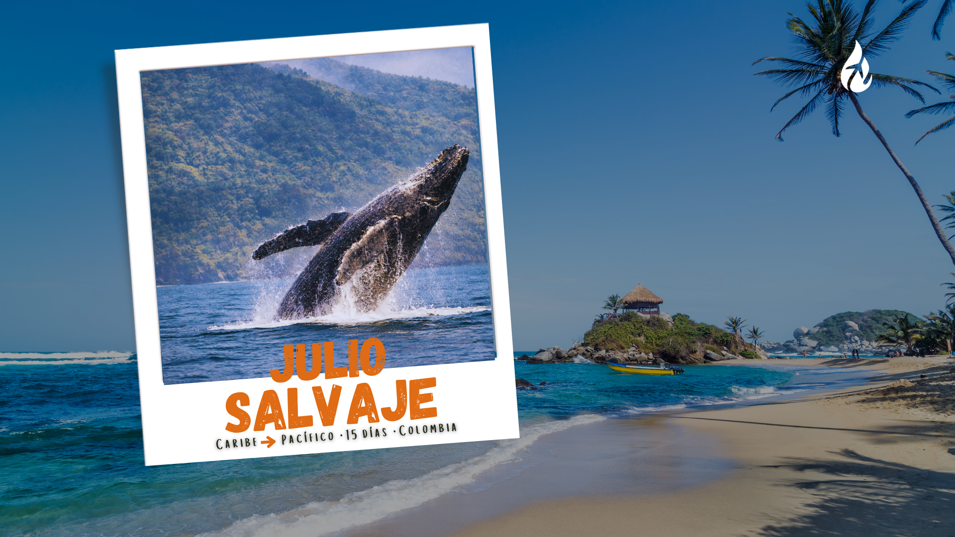 Viaje Colombia: Julio Salvaje